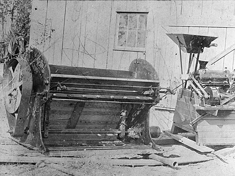 What was the Economic Impact of the Cotton Gin 